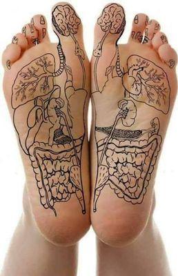 Reflexology