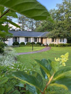 Home front landscape, hydrangeas, boxwoods and perennials