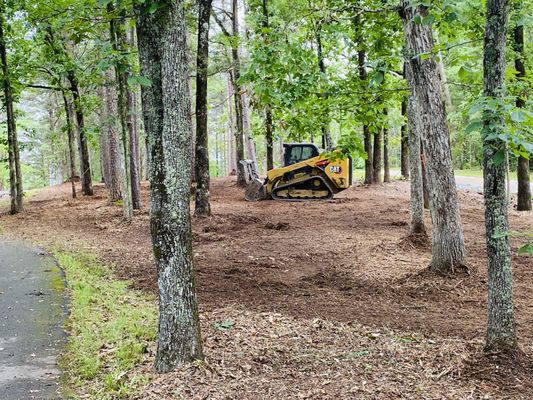 Nc Forestry Mulching