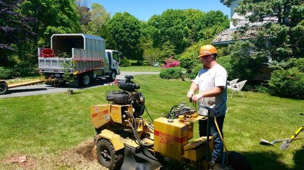 Jasper grinding stumps for planting project.