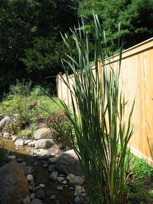 A natural stream that had been filled for thirty years revealed.  Newly planted with water loving perennials for a natural lo...