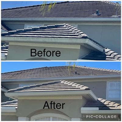 Roof cleaning