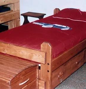 Custom bunkbeds in Warren, MI.