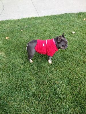 Wearing her State Farm polo