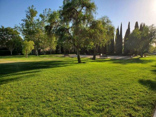 Grassy Area with Bocci Court