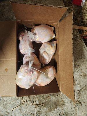 Farm fresh whole chickens