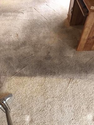 On The Spot Carpet Cleaner located in Pleasant Grove Utah serves Salt Lake City, South Jordan, Herriman, Sandy, Murray, and T...