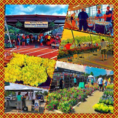 Montage of images from Oakland County Farmers Market