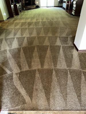 Carpet cleaning