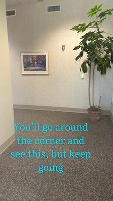 The hallway entrance to the Spa at McLeod Health & Fitness Center