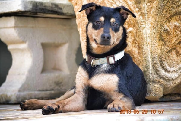 Handsome Bert, an ALR alum now living in New Jersey