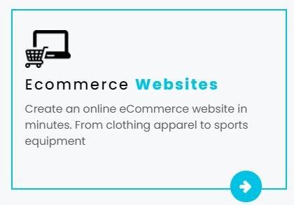 Ecommerce Website Design and shopping carts