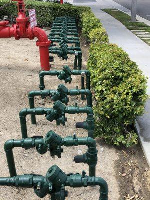 Backflow assemblies reporting for duty.