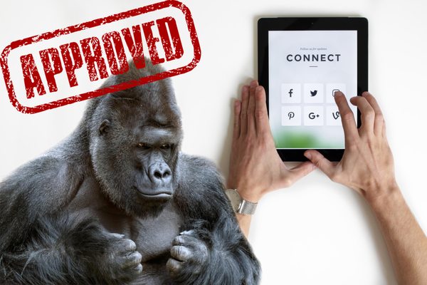 Digital Marketing Gorillas