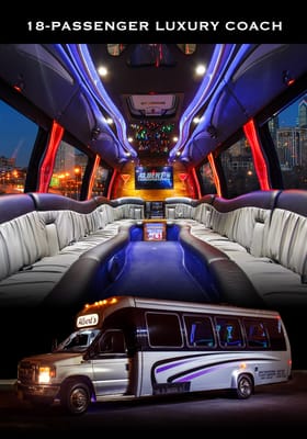 18 Passenger Luxury Coach