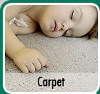 Immaculate Carpet Cleaning Services