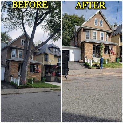 Removal of a tree planted too close to the house and Street. Another satisfied customer in Parkview Ave.