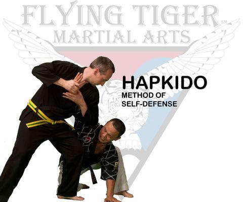 Flying Tiger Martial Arts