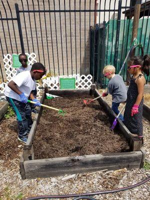 Planting in our garden