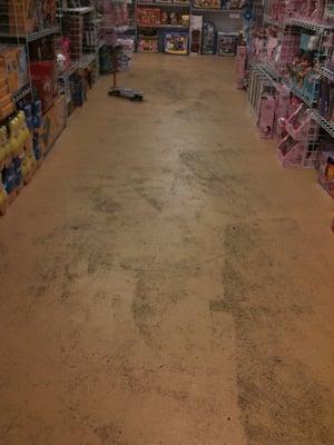 This is what the floors look like in this place. They ripped the carpets up and left bare floors & the old adhesive.