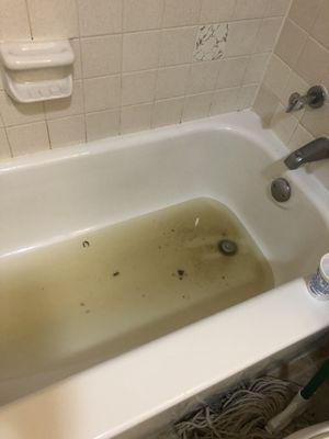 Water issues that took 7 months to fix.