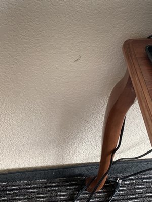 Stains on wall