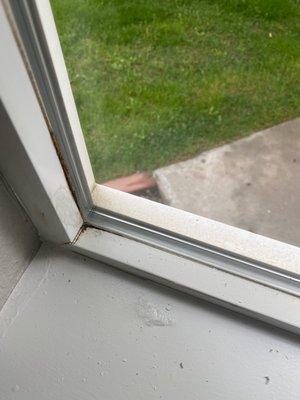 Dirty window sills with pillion paint