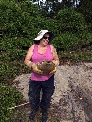 This big girl (the tortoise...) was moved out of the way of a home construction.