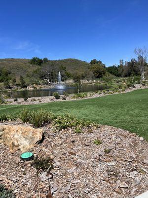 The turf lawn where we enjoyed our pies (multiple).