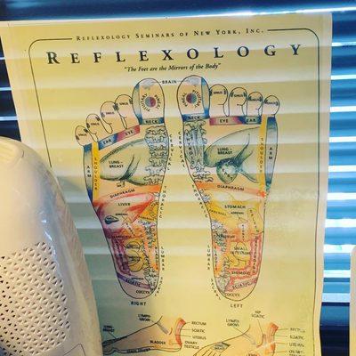 Reflexology map