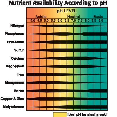 pH Scale