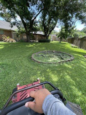 Lawn we mow on a consistent basis