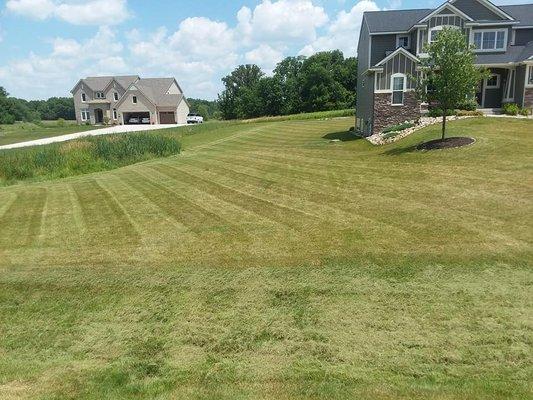 Residential Lawn Mowing