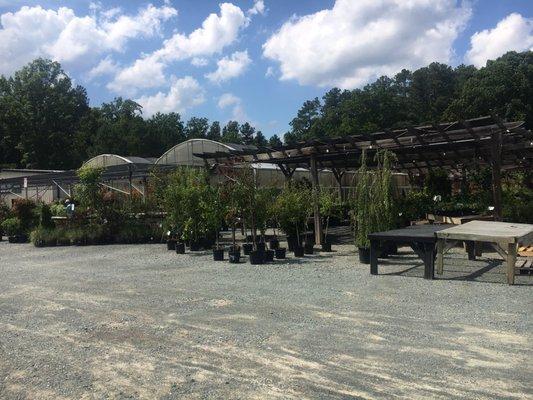 Piedmont Feed & Garden Center