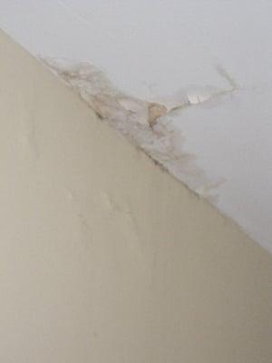 Guest bedroom ceiling leaking repreatedly