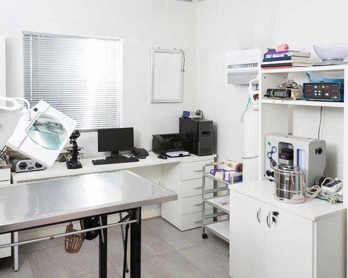 Animal Surgical & Dental Clinic