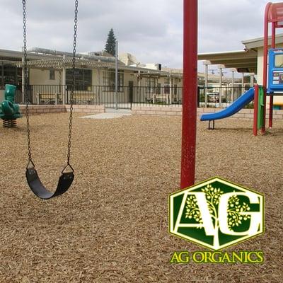 AG Organics Playground Chip