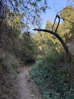 Dixie canyon trail