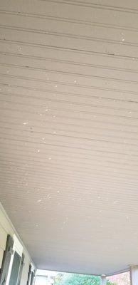 The ceiling of my porch overhang stains with concrete splatters.