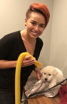 Otto stopped by for his first Paw Spa