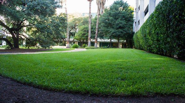 An office green space.