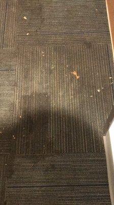 Vomit and grime carpet in hallway...the smell