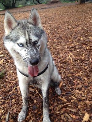 "I had a great time off-roading, and Michael will clean me up before I go home."