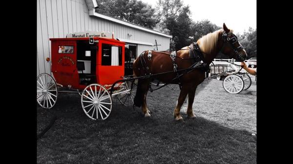 Marshall Carriage Co. & Ghost Tours