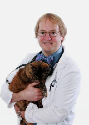 Dr. Timothy Kraabel (DVM, Board Certified in Small Animal Medicine)