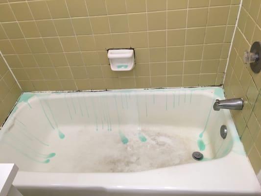 Bath tub before