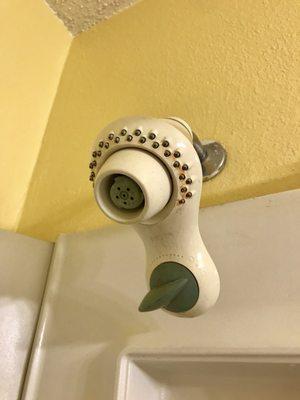 Some rust on shower head