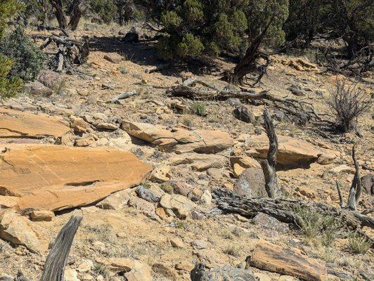 Escalante Petrified Forest State Park