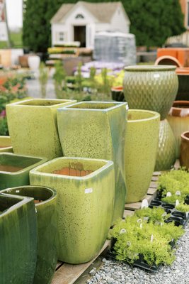 Large pottery selection at our greenhouse