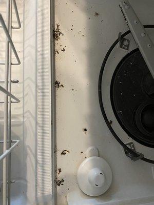 Dirty dishwashers with rotting food provided to tenants on move in.